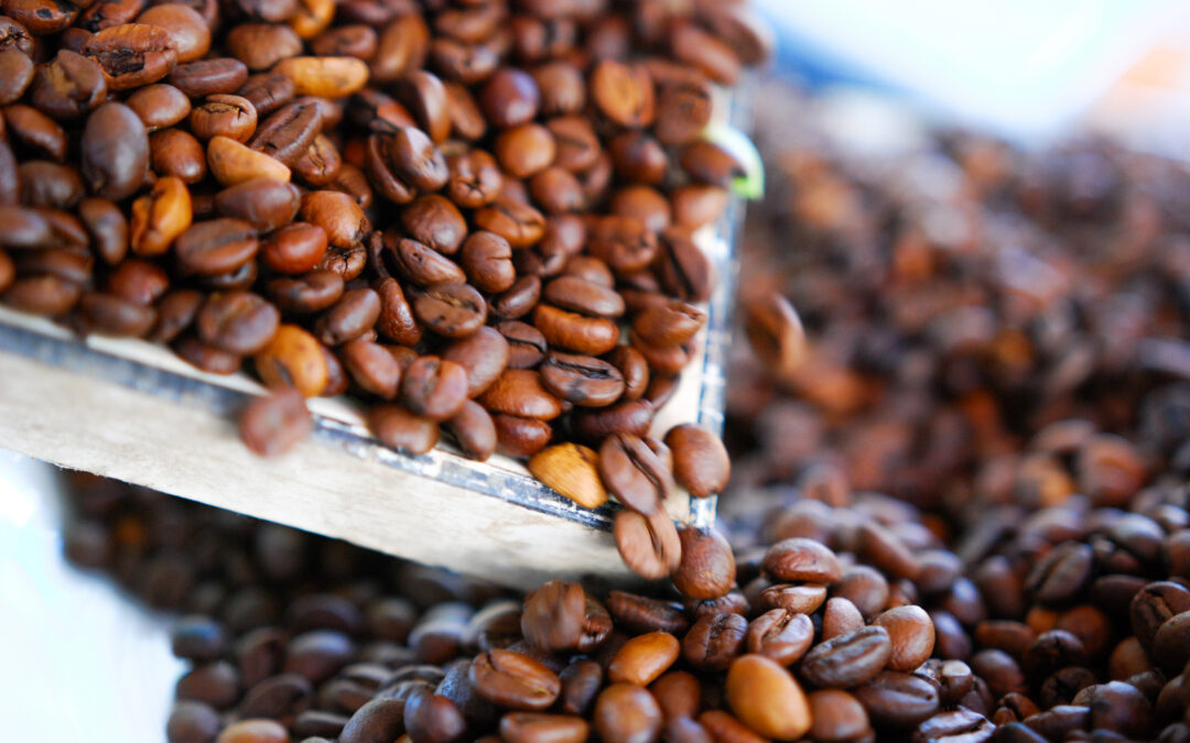 Arabika vs Robusta – czym się różnią?